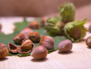 1 Haziran Fındık Tablosu Açıklandı: Düzce’de Son Durum Ne?